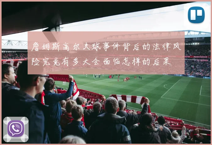 詹姆斯高尔夫球事件背后的法律风险究竟有多大会面临怎样的后果